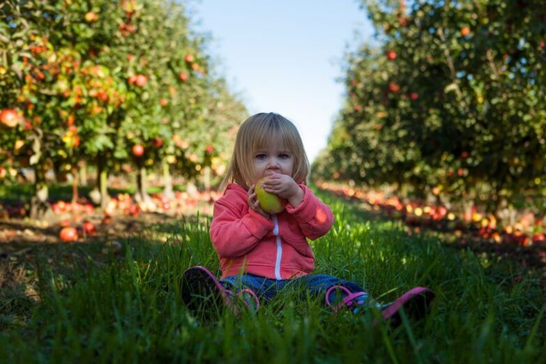 Los niños con un diagnóstico de diabetes mellitus pueden usar frutas feas